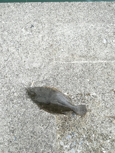 リバーフィッシング