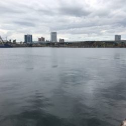 久しぶりの紀州釣り