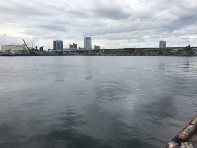 久しぶりの紀州釣り