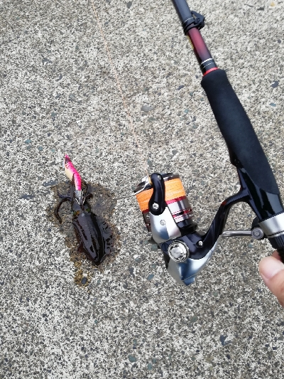 秋アオリ　エギング