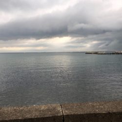 エギングとライトショアジギング