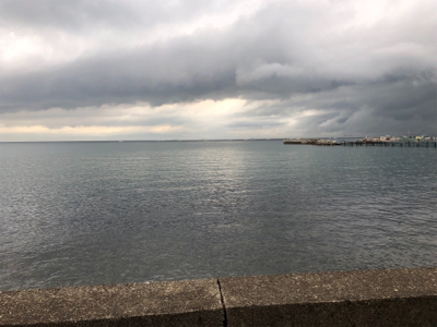 エギングとライトショアジギング