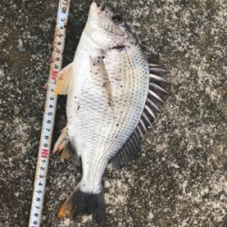 名港のキャスティング前打ち