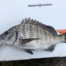 悪天候の中なんとか・・・