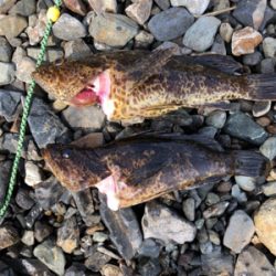 親父たちの釣行 第10弾