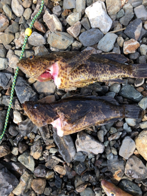 親父たちの釣行 第10弾