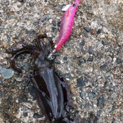 1人の時間を満喫