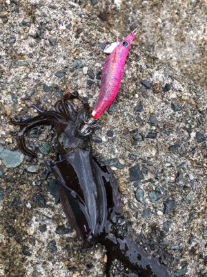 1人の時間を満喫