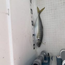 マイボート釣行