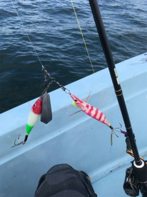船タコ釣り