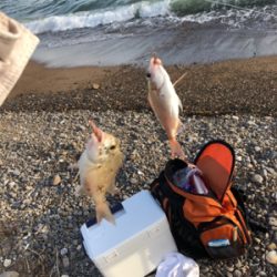 キスをちょっとだけ