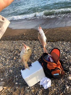 キスをちょっとだけ