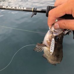 SLSのちハゼング