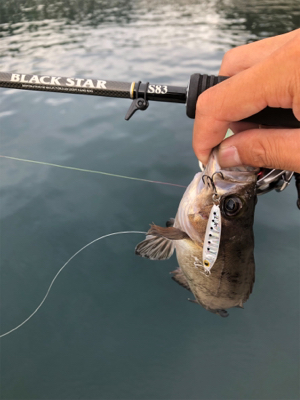 SLSのちハゼング