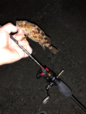 高砂港ガシリング