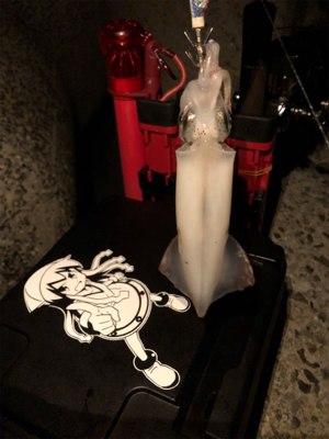イカでも釣らにいくか。