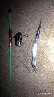 台風前の駆け込みタチウオ