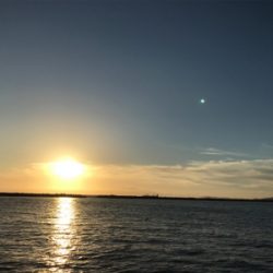 なんとかタチウオ