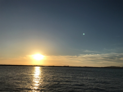 なんとかタチウオ