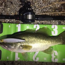 琵琶湖初釣果！