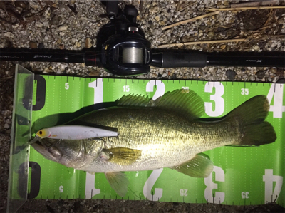 琵琶湖初釣果！