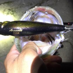 台風前にビッグフィッシュ！