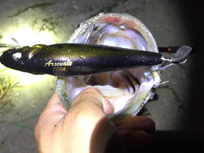 台風前にビッグフィッシュ！