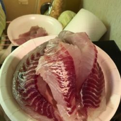 ナイトチニング！！