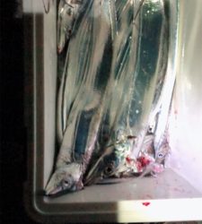 一投、一当たり