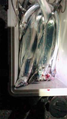 一投、一当たり