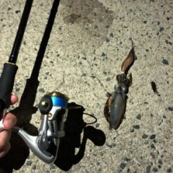 雨が降る前の短時間釣行