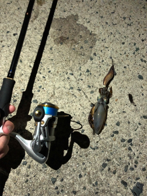 雨が降る前の短時間釣行