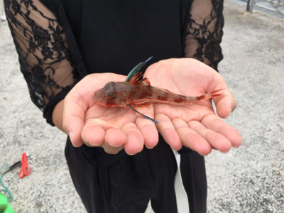 まさかの！！！！！