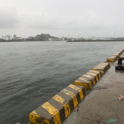 短時間 サヨリ狙い