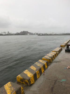 短時間 サヨリ狙い