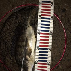 夢舞大橋付近です