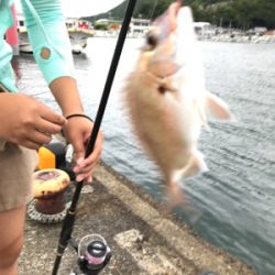 御所浦釣行2日目