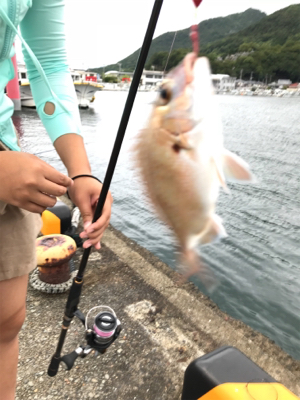 御所浦釣行2日目