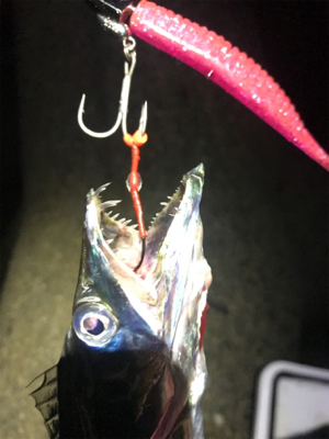 気まぐれタチ！