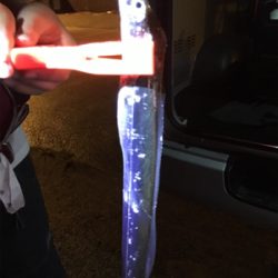 台風後、初アジング