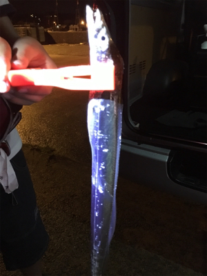 台風後、初アジング