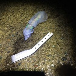 雨にも負けず釣行！