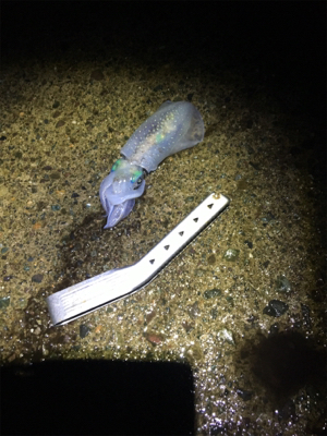 雨にも負けず釣行！