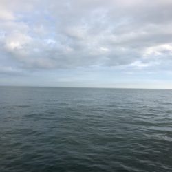 タチウオ時合い後のサバ祭り