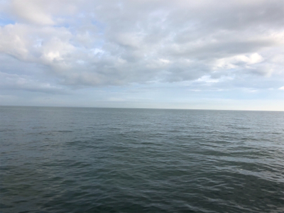 タチウオ時合い後のサバ祭り