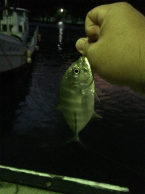 久々のポイント