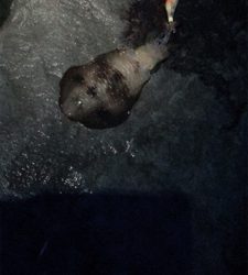 雨でしたが、本場はやはり違いますね。