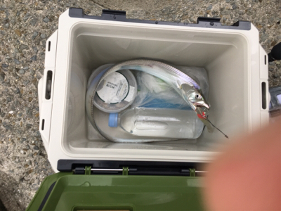 夕方雨が止んでいたのでー