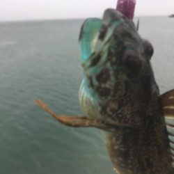 気づけば夕方でした(苦笑)