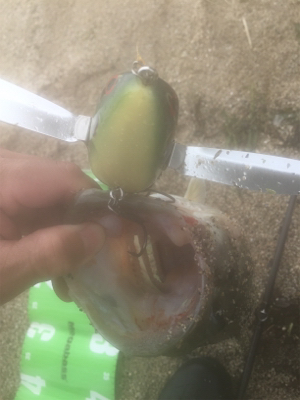 トップで水面爆発！